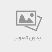 دل ام